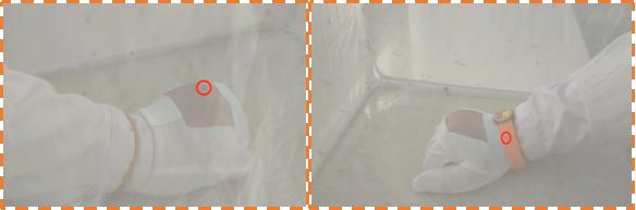 防蚊必备驱蚊贴,驱蚊贴怎么用才能驱蚊子