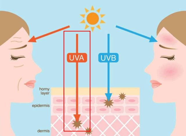 2022网红爆款防晒,网红防晒正品