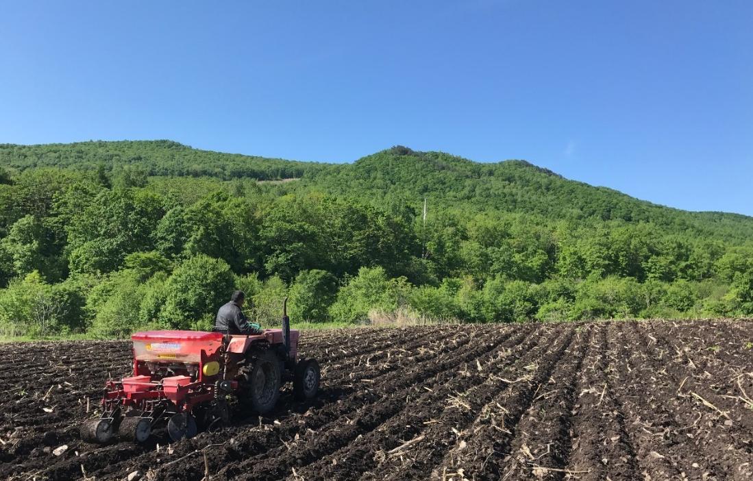 日本什么牌子的电饭煲煮饭最好吃,国产电饭锅与日本电饭煲差距大吗