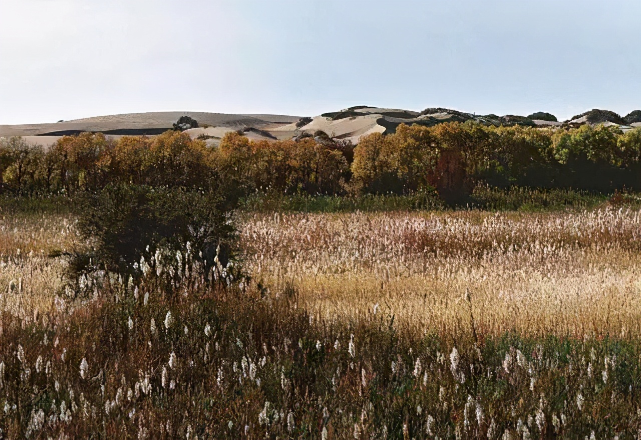 九层妖楼真实内部图片,九层妖楼古墓完整视频