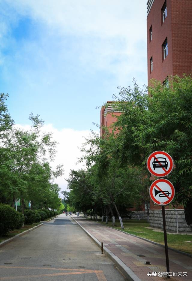 沈师复试通知,沈师现在让进吗