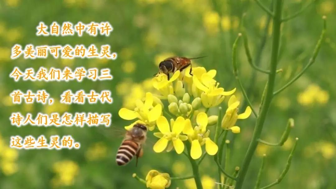 三年级下册语文第一单元测试卷,三年级下册语文教学视频人教版