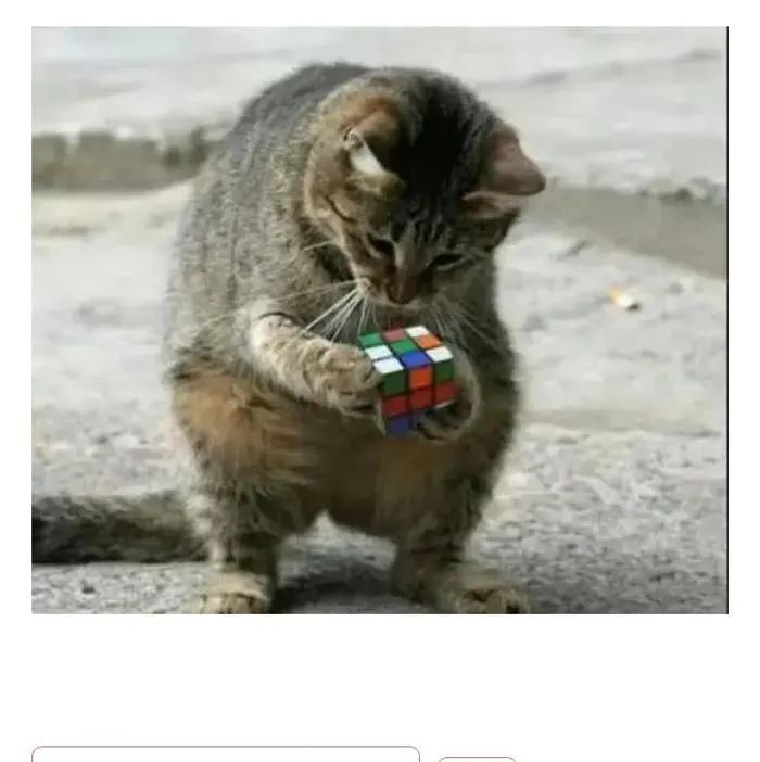 《简书诗词大会》第一百一十六期(腊八节专刋)