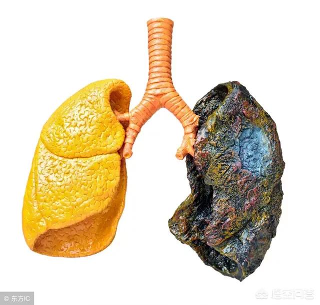 每天抽一包烟的危害有多大,一天抽三根烟和一包烟的区别