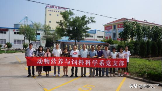 青岛中晨康地饲料股份有限公司,青岛中晨康地农牧发展