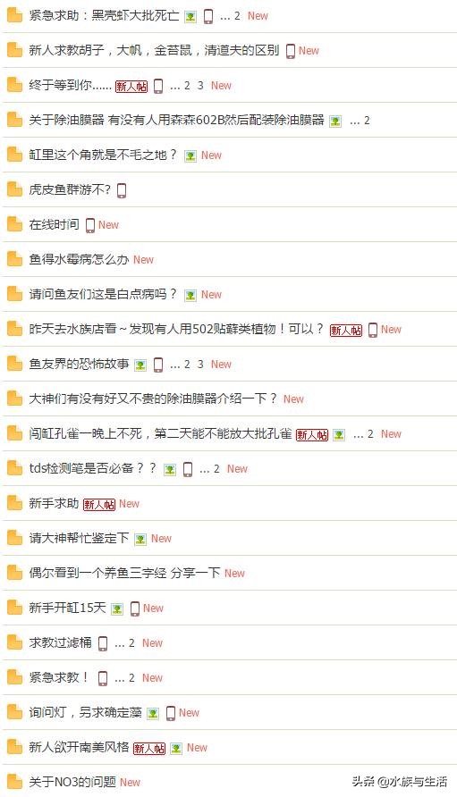 草缸里死鱼怎么处理,观赏鱼死鱼怎么处理最好