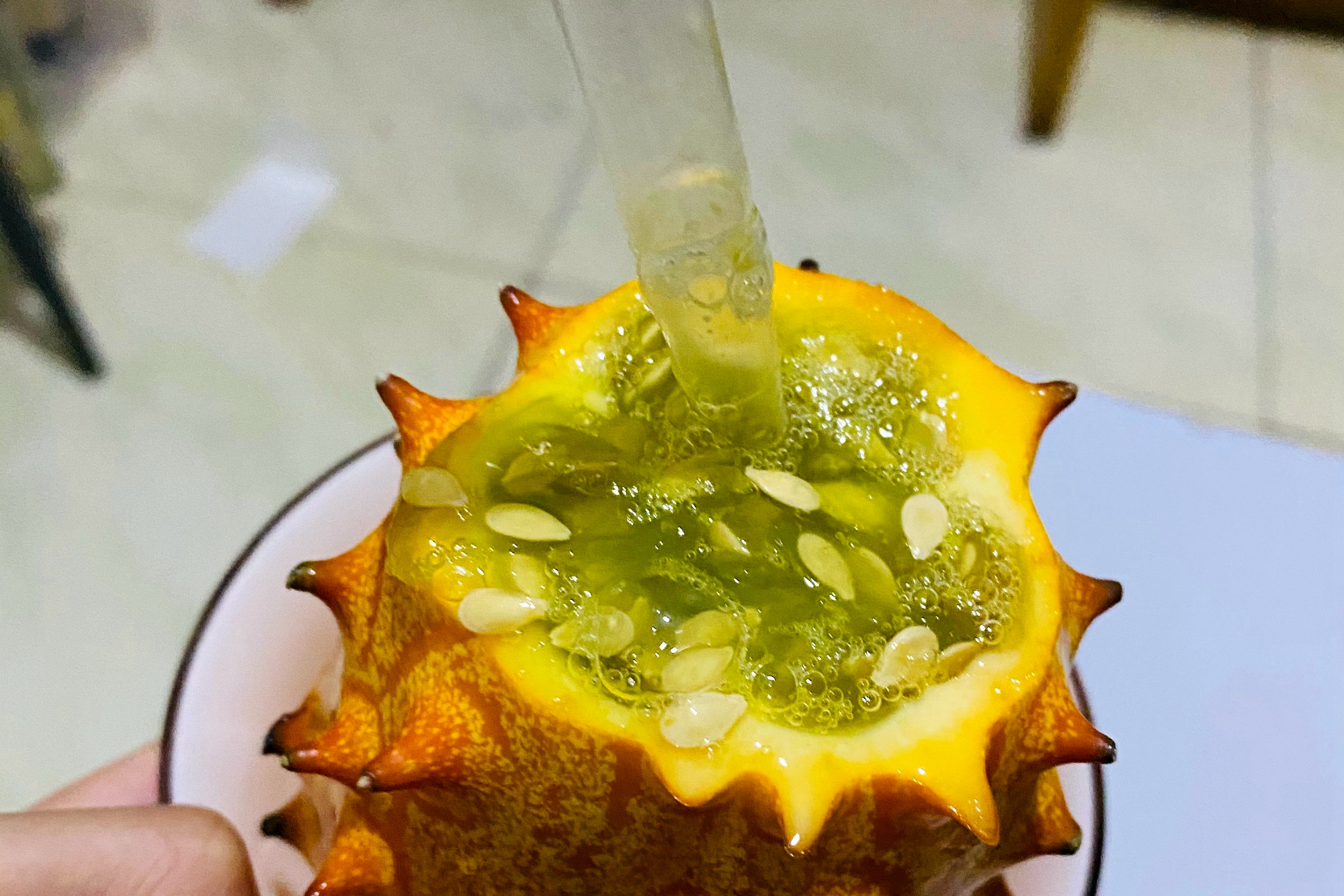 葫芦科蔬菜特点图,葫芦类蔬菜有哪些