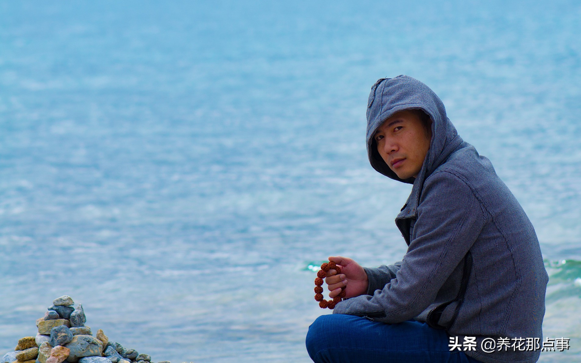 过年回家花花草草怎么处理,家里养点花花草草的小妙招