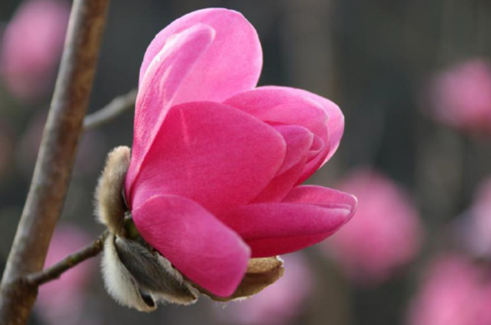 十二星座男的内心世界图片,12星座男生藏在内心里的事