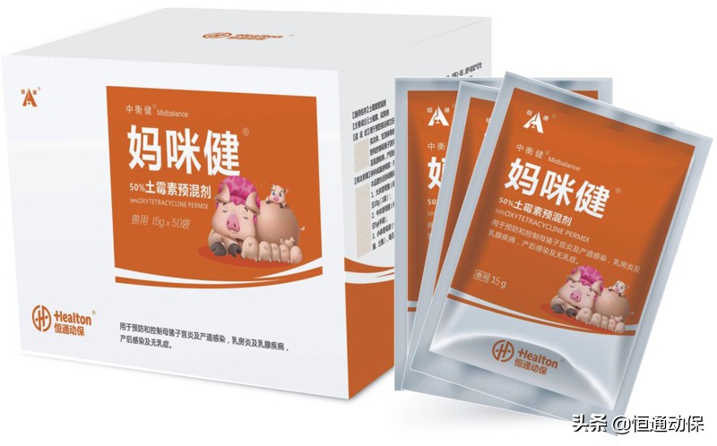 母猪产后坐月子,母猪坐月子