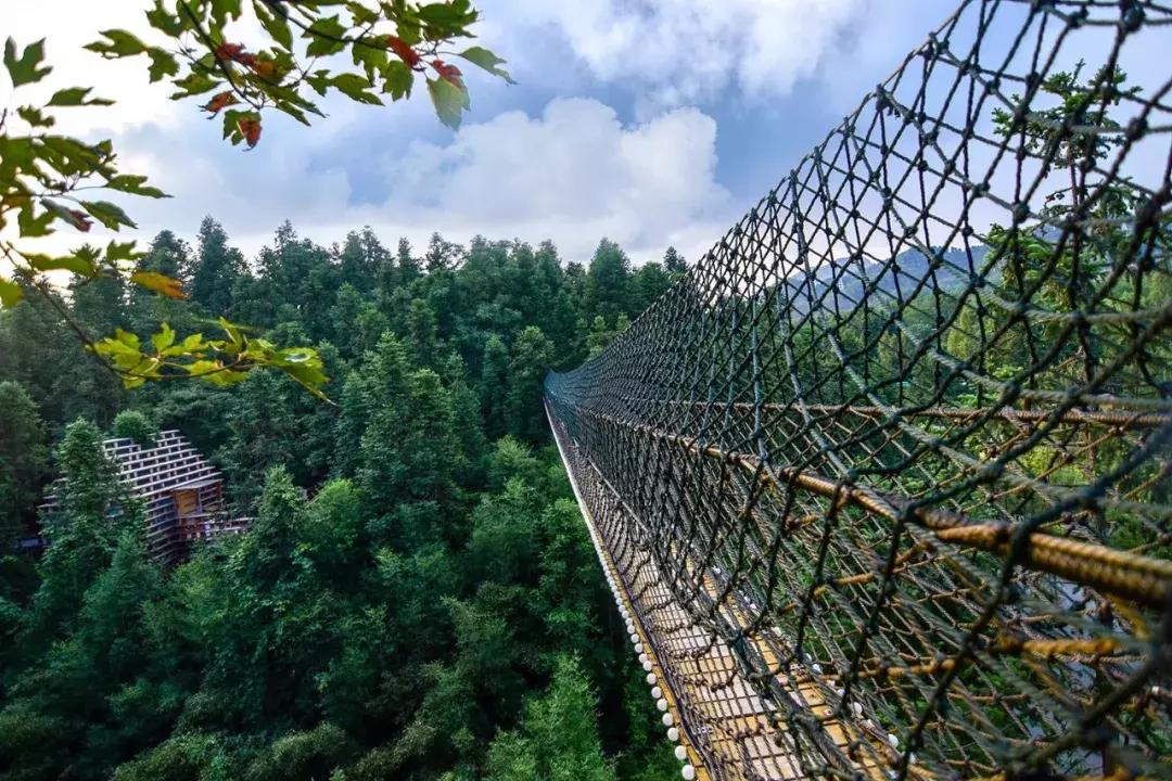 杭州1.5h就有不输清迈的丛林树屋