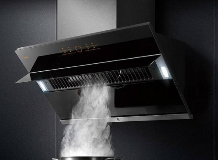 养花四种肥,这4种花只要水就可以养活