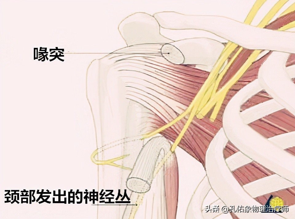 老年人肩周疼痛的厉害怎么治疗,老年人肩背部疼痛怎么回事