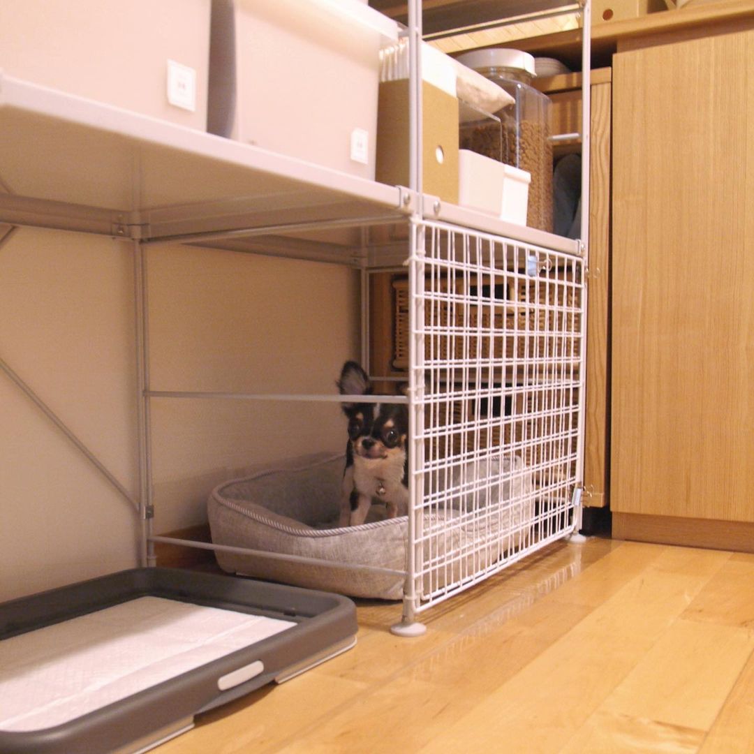 小狗的小窝改造,狗窝改造50万