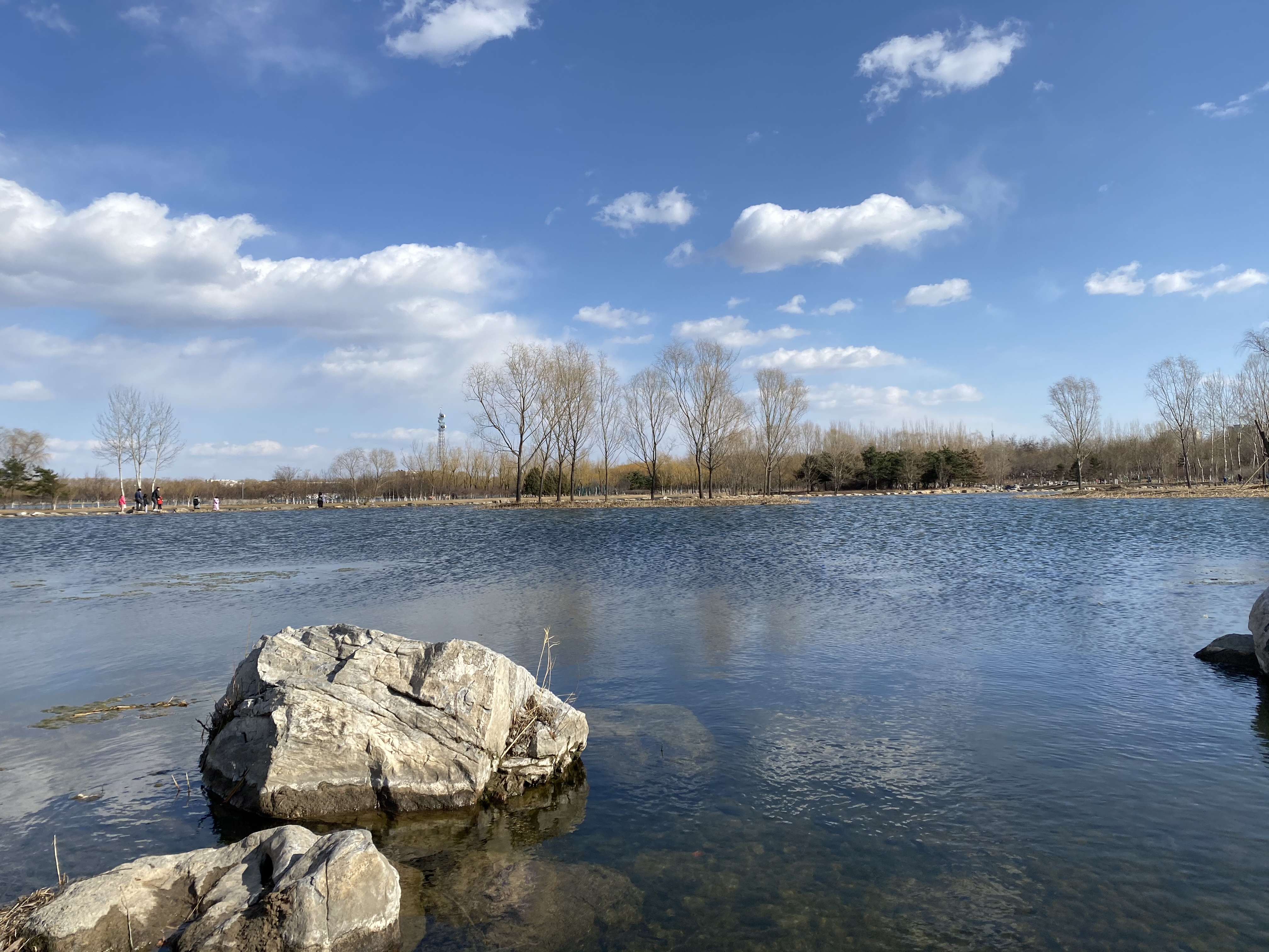 融资租赁协议与回购协议,融资租赁合同的法律特征有哪些