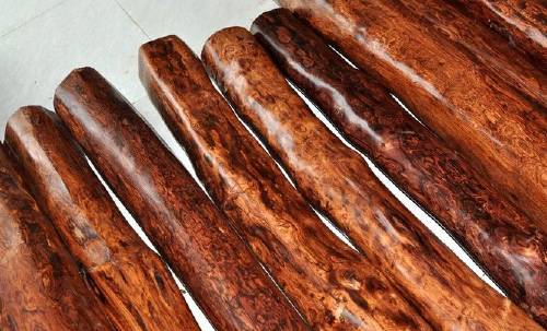 木头全部小说,木头免费观看