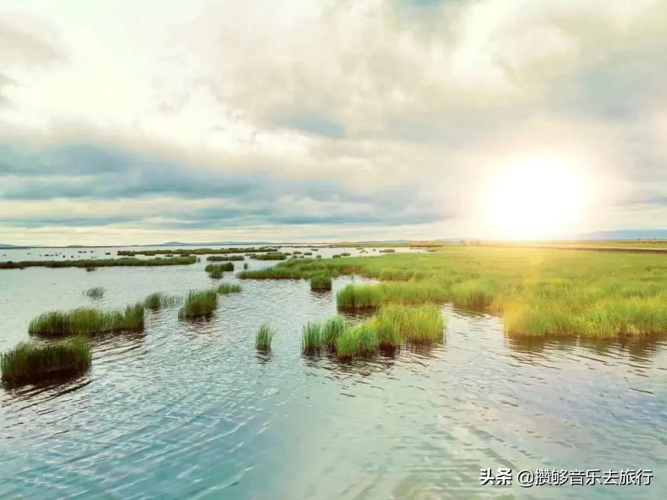 7月能去若尔盖,花湖若尔盖七月天气