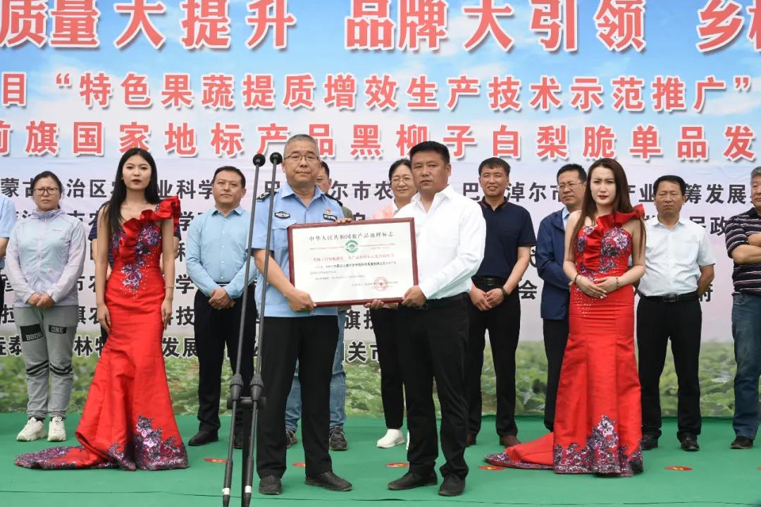 黑柳子白梨脆甜瓜直播,黑柳白梨脆