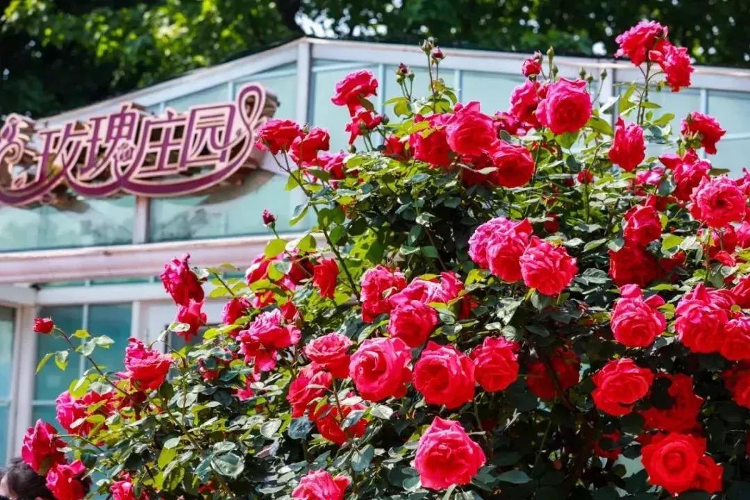 北仑适合带孩子去哪里玩,北仑适合自己一个人玩的地方