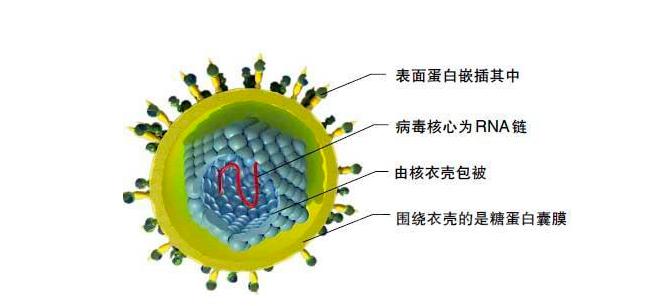 欧洲瘟疫死亡2500万人是哪一年,人类最大的瘟疫