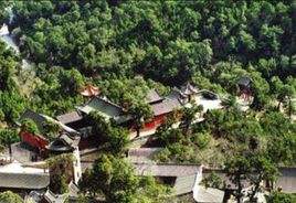 山西天下第一柏在哪里,山西省最奇特的山