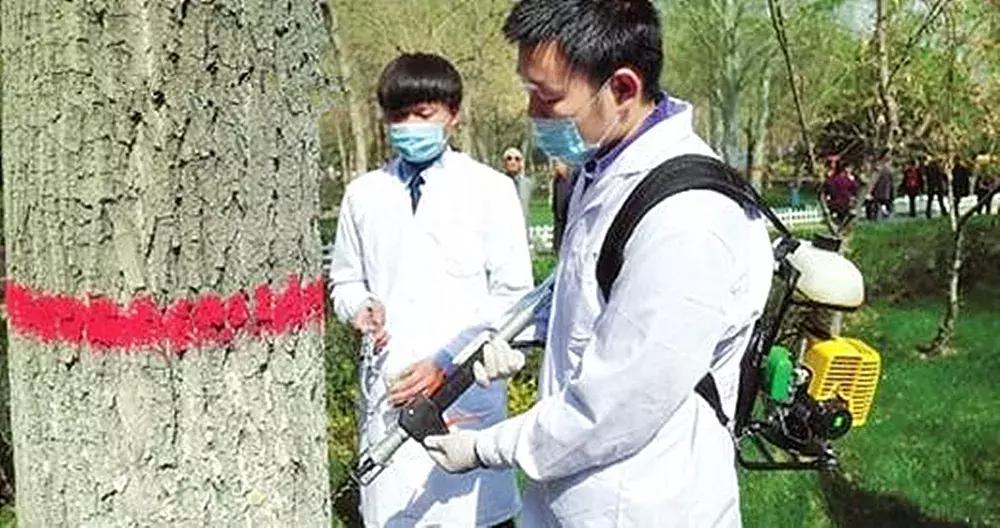 病虫害防治这个小技巧,绿色环保的方法防治病虫害