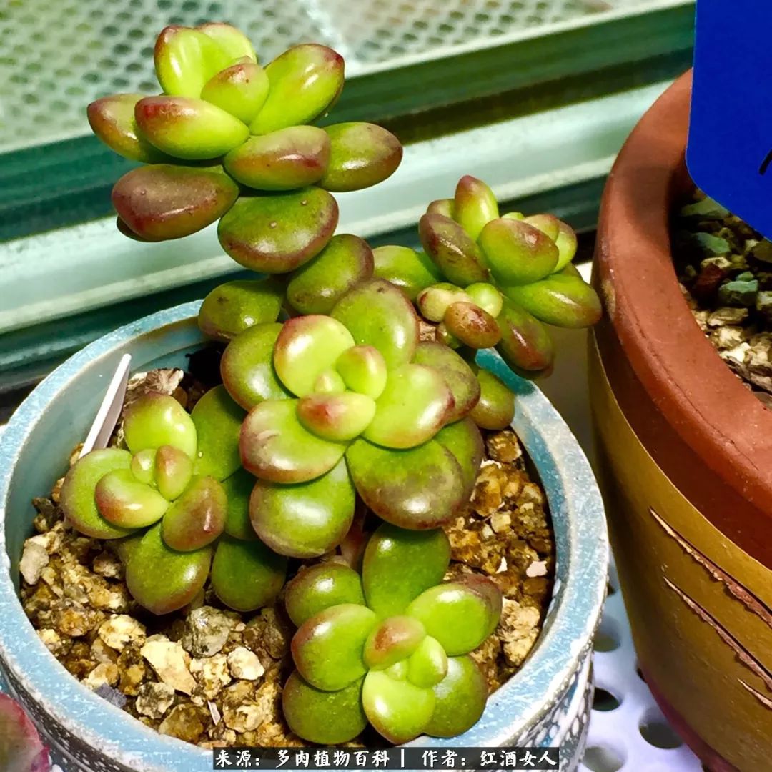 记录走过的美景留下美好的回忆,记录走过的每一段美好时光