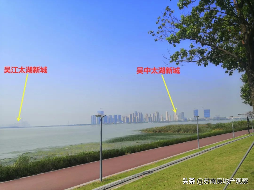 买花港,就是一场博弈