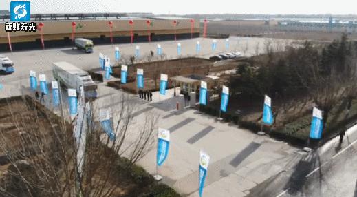 寿光菜篮子果蔬,寿光粤港澳大湾区蔬菜