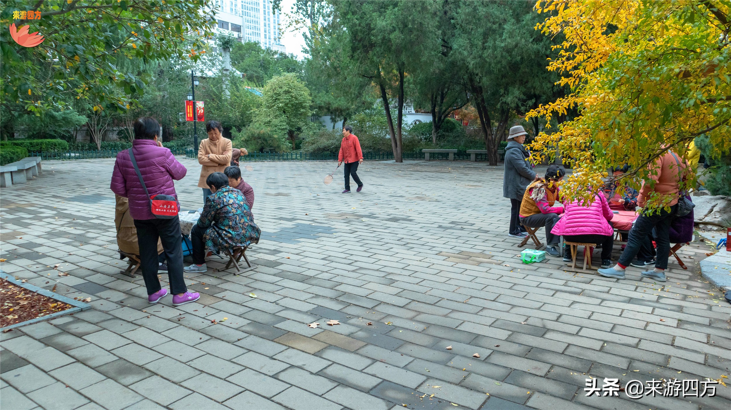 济南老商埠中山公园,济南秋风扫落叶