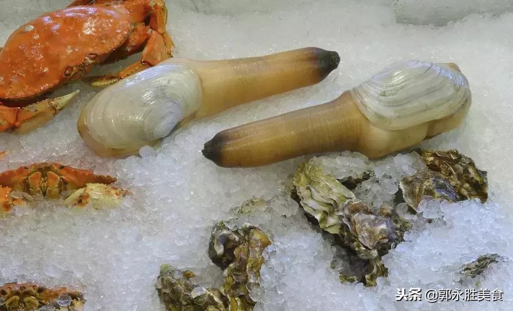 长相难以启齿的象拔蚌,当年餐桌上可是炙手可热!