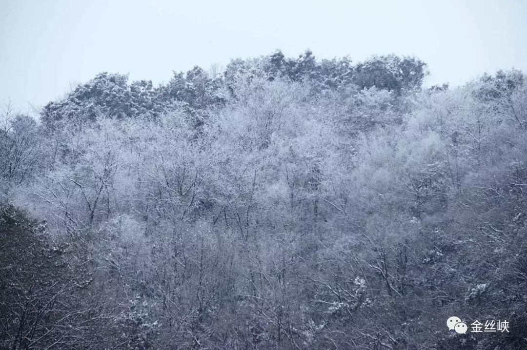 西安金丝峡雪景,陕西金丝峡冬天