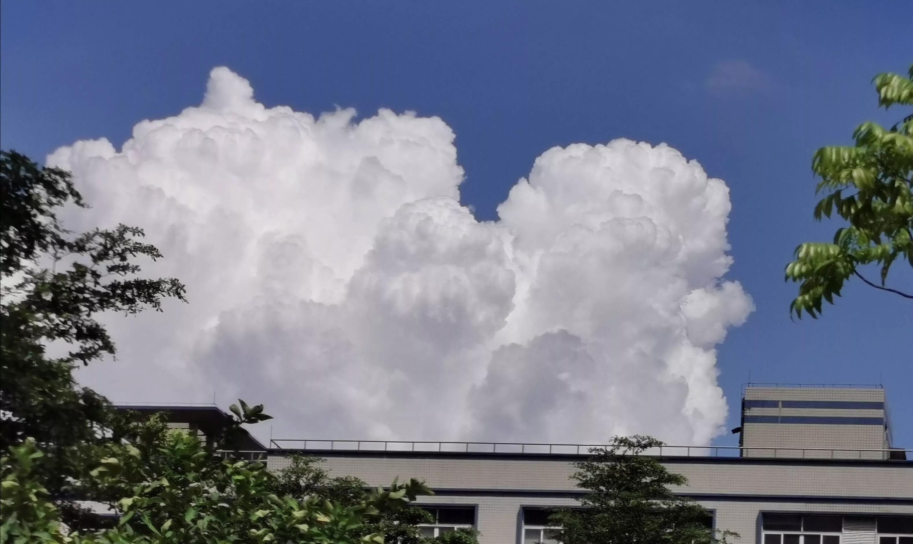 广州有代交社保的机构吗,广州代缴社保机构排名