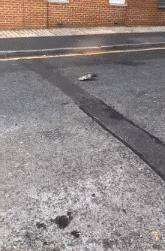 搞笑gif开心一刻这才是真正的赢家,开心一刻gif笑死人