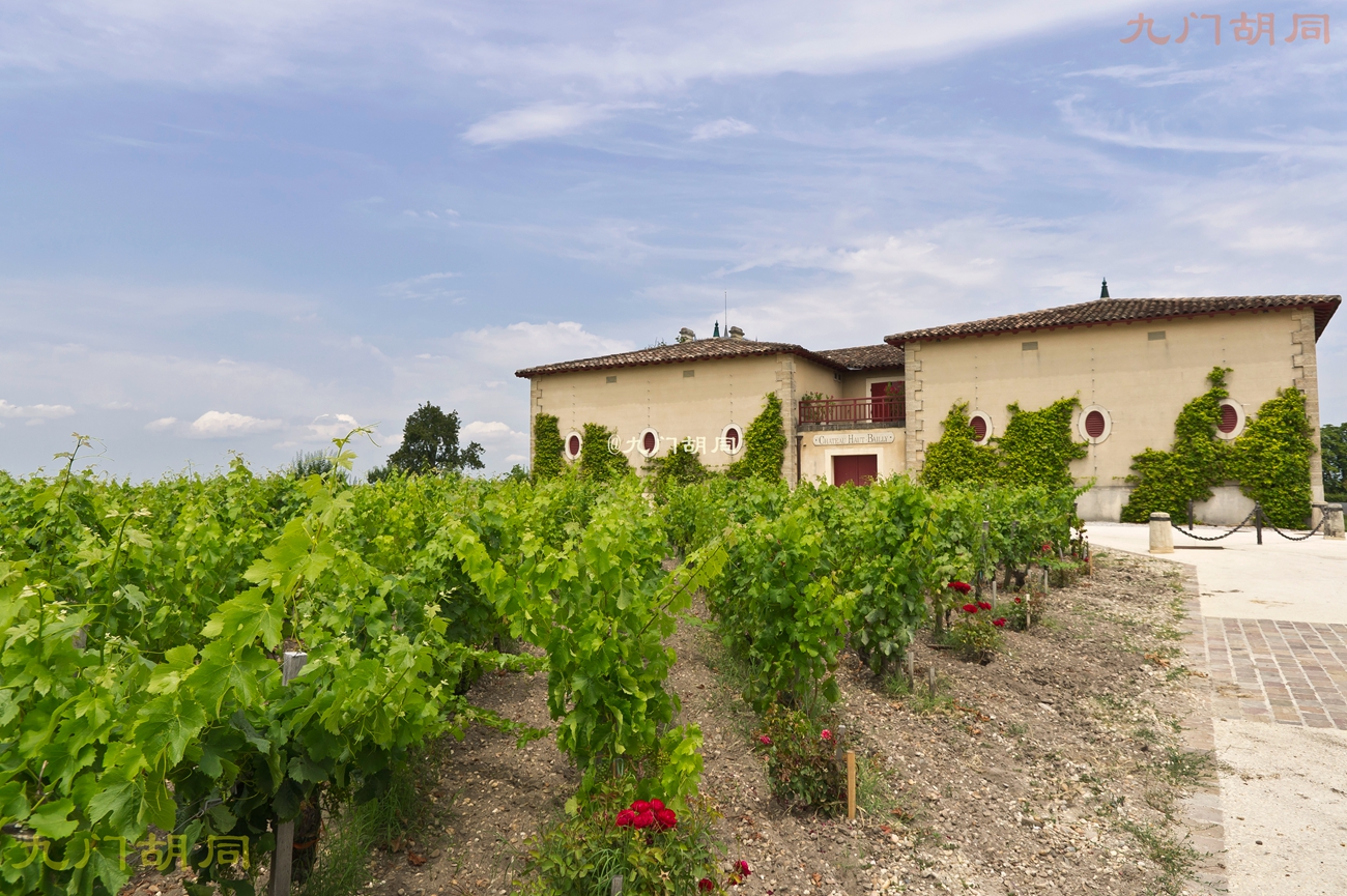 法国旅游葡萄酒庄,法国波尔多酒庄旅游攻略