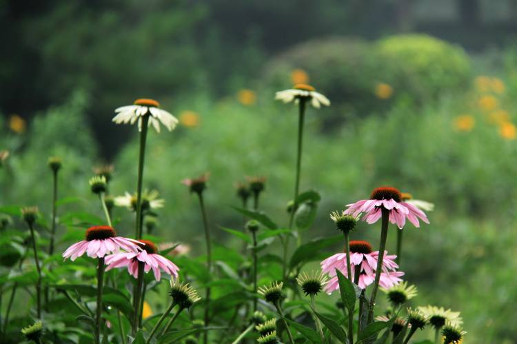 风说岁月,所谓时光不老