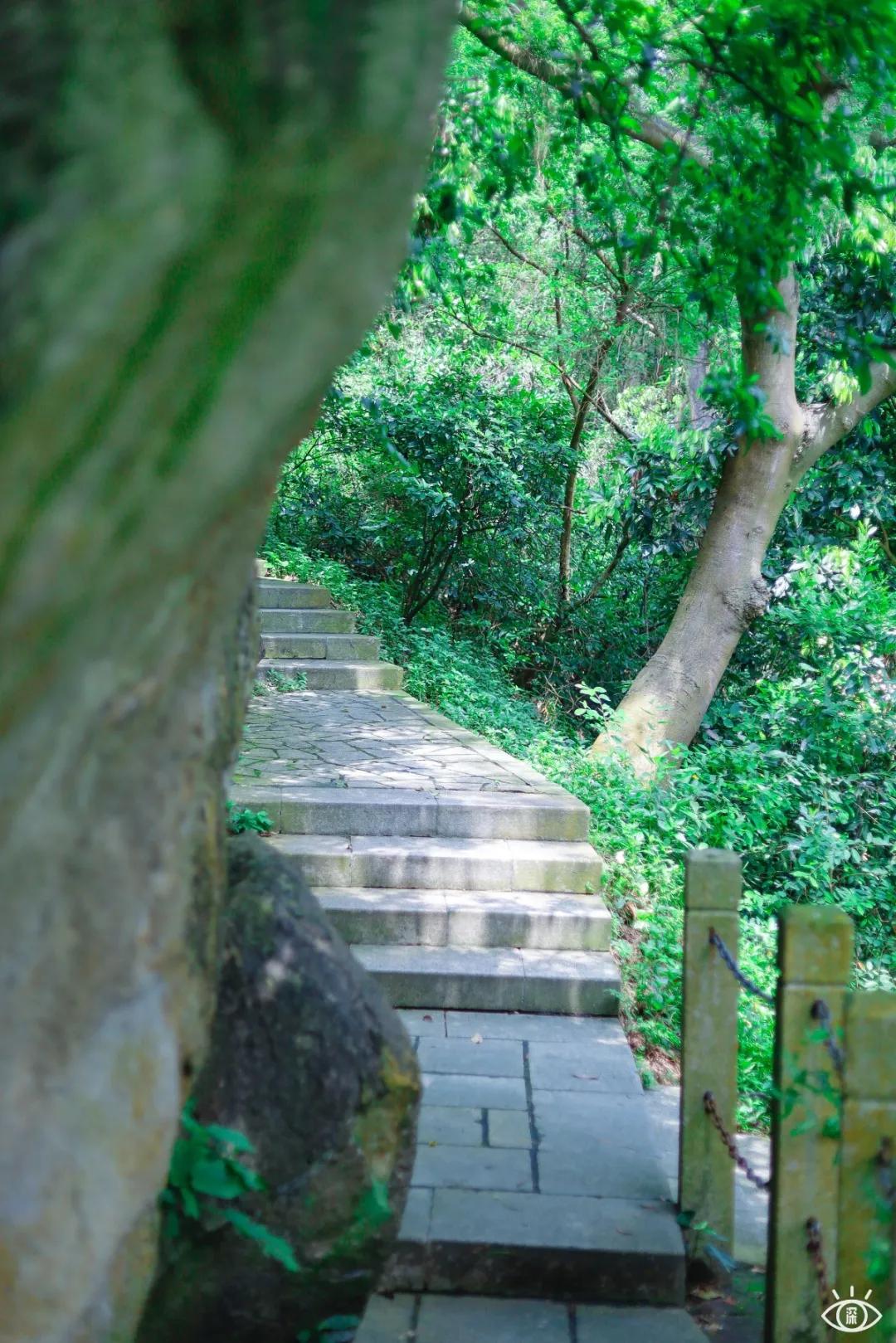 深圳宝藏公园风景图片,深圳宝藏自然游乐区