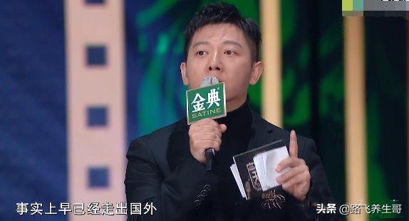 萨顶顶和丁太升对话,丁太升微博评价萨顶顶