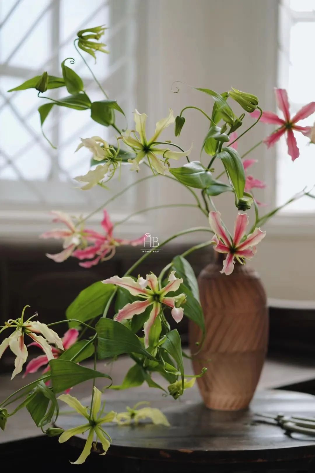 家里要有氛围感什么花比较好,家里高级的花