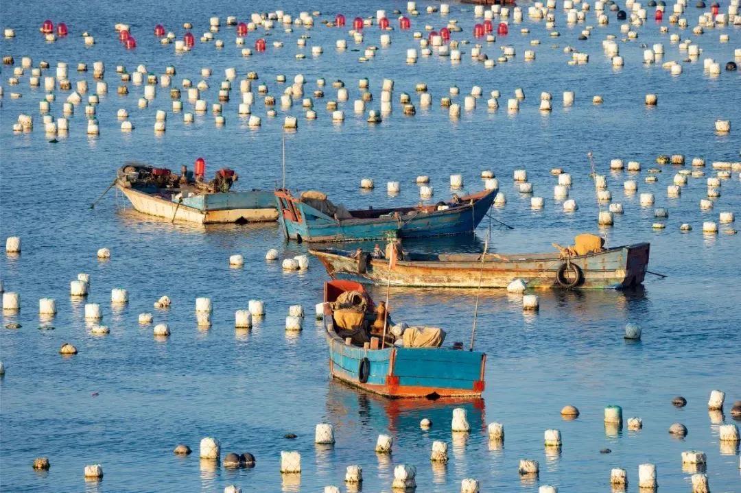 渔都舟山群岛的海鲜果然名不虚传,舟山渔港最好吃的海鲜