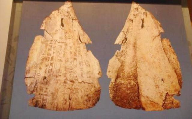 清朝传下来的药,清朝神奇的药物