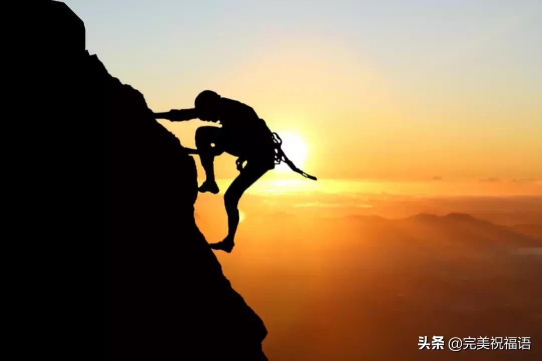 渡人渡己更难,渡人渡己小说完整版