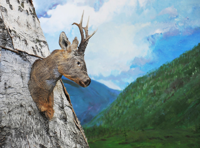 华夏儿女铭记的历史,华夏儿女的故事