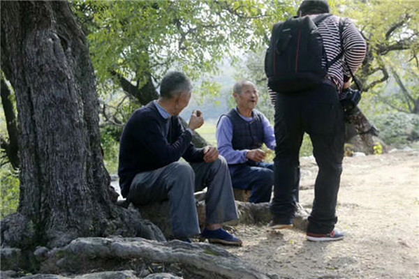 古枣林，古村落……湖北随县华宝村“红玉”飘香，值得你来看