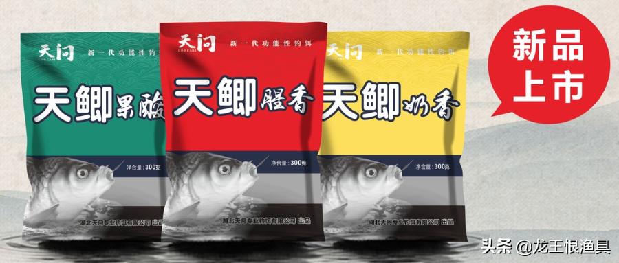 天鲫腥香评测,天鲫通杀钓鲫鱼