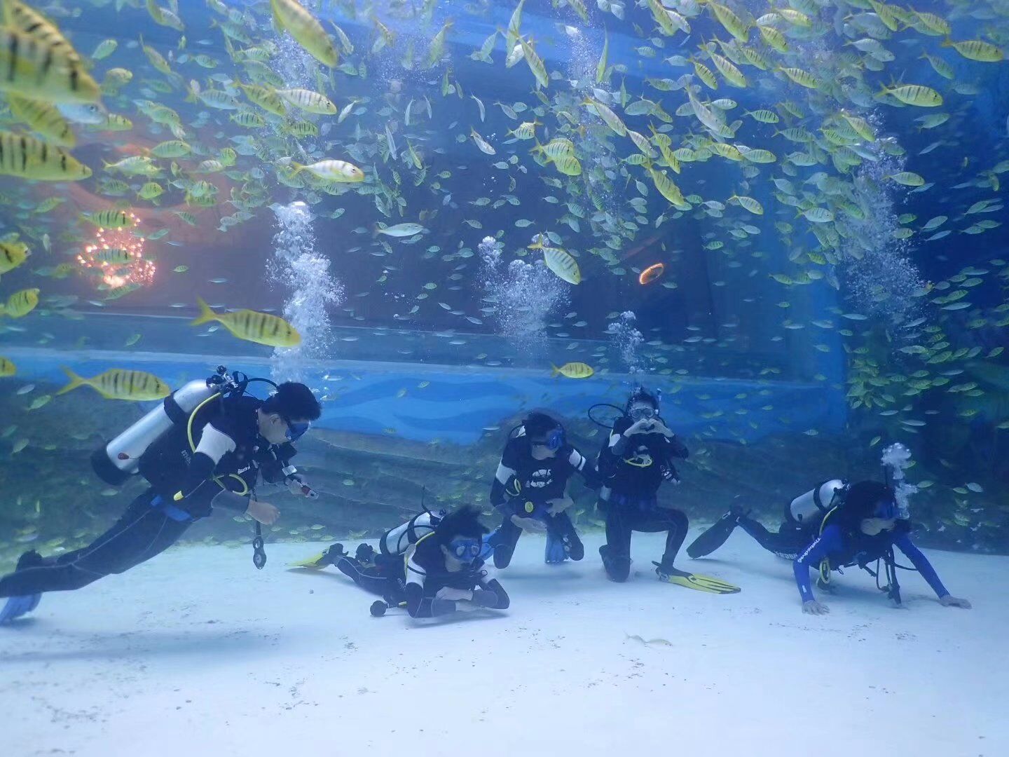 在三亚潜水需要带什么,在三亚玩潜水哪里好玩