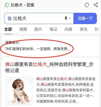 这5种狗你都敢养,建议新手便宜养的10种狗