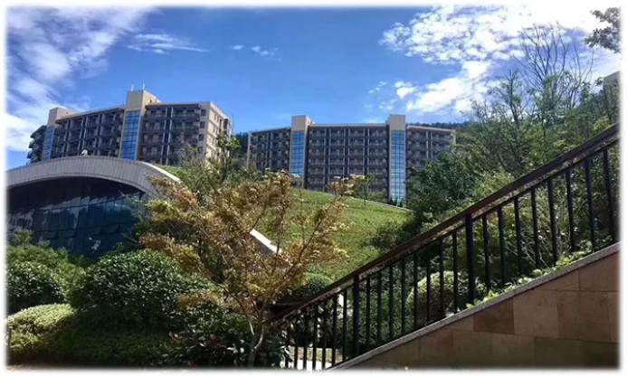 油画小镇威海孙家疃,威海孙家疃镇油画小镇定位