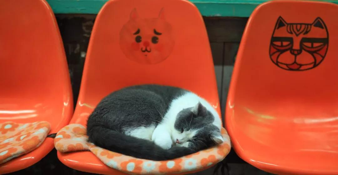 厦门海岸线咖啡网红打卡地地址,厦门观音山网红打卡地