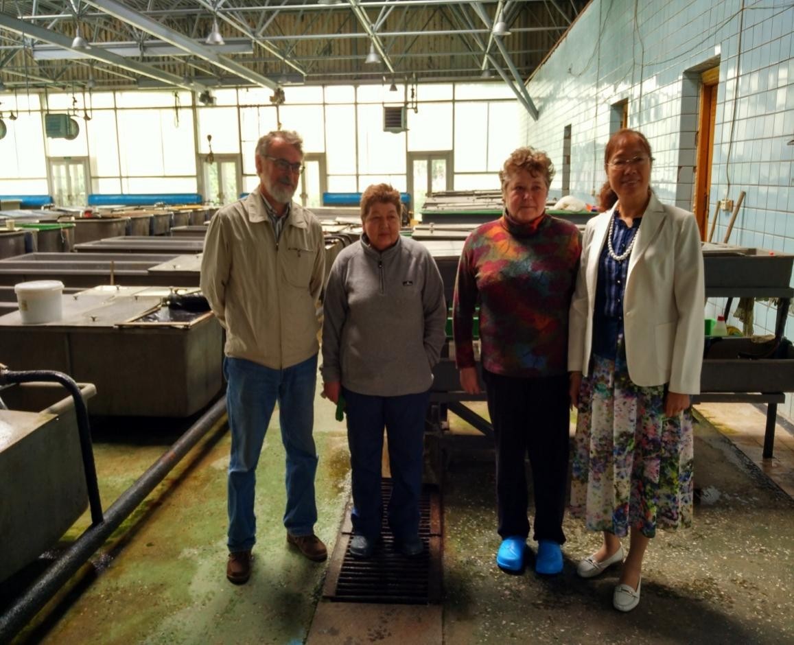 长江鲟中华鲟等长江珍稀濒危鱼类,中国淡水鱼专家谈长江白鲟